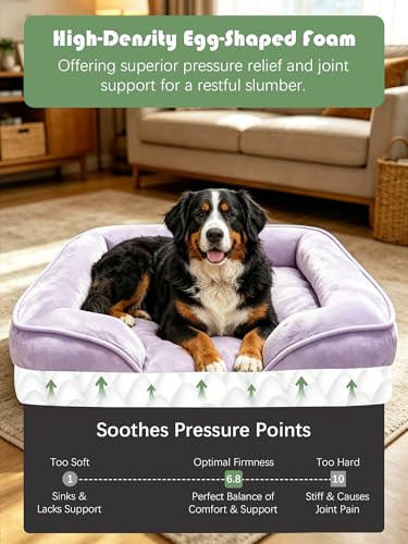 Orthopedic Dog Bed with Sides (48.0"L x 35.0"W x 8.0"Th / Purple)