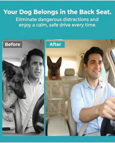 Dog Car Net Barrier