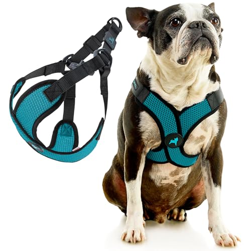 Comfort X Step (X-Small (11.8-14") / Turquoise)
