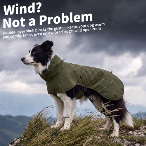 Dog Raincoat Full Body Coverage Waterproof Windproof Hooded Jacket (Green / X-Large)