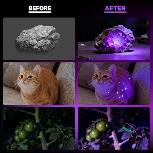365nm UV Flashlight 2Pack Rechargeable Black Light for Pet Urine Detection (2PACK)