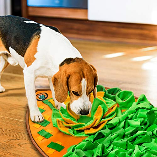 Snuffle Mat for Dogs (B)