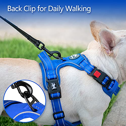 No Pull Dog Harness (Large / Royal Blue)