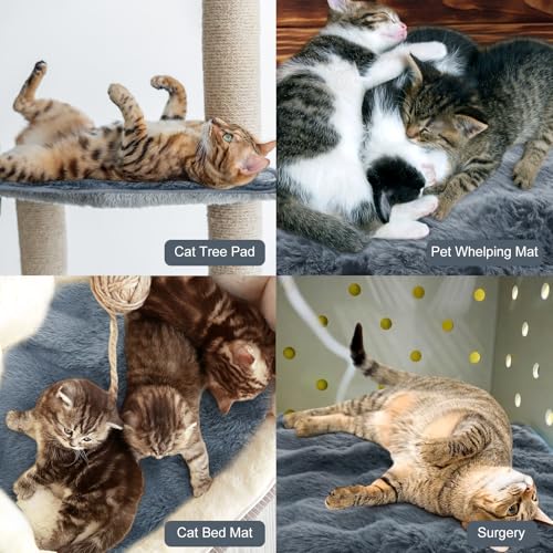 3 Pack Dark Gray Self Warming Cat Bed Indoor 16''x16'' Cat Self Heating Mat Soft Thermal Kitten Bed Heated Pet Dog Pad Washable Removable for Outdoor Use Non Slip Reflect Body Heat (16''x16'' / Dark Gray)
