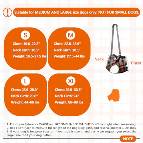 Dog Lift Harness (Large / Chest-Blue)