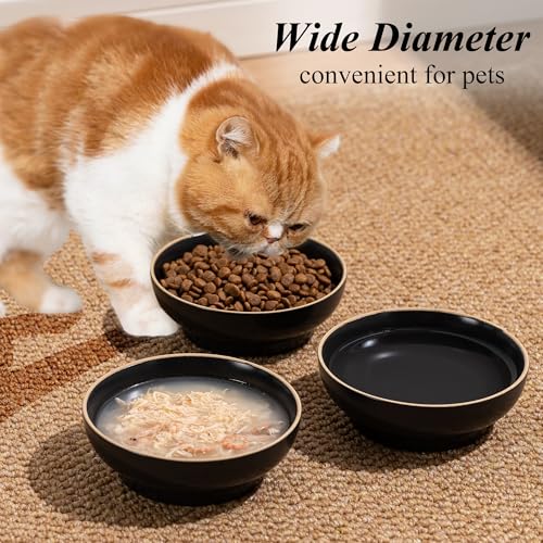 Cat Bowl Set of 3 (Grey)