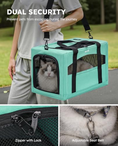 Cat Carrier Stable (Light Green / 18.5"L x 12.9"W x 11.8"H)