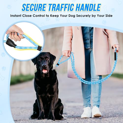 Hands Free Dog Leash (Blue Diagonal Stripe)
