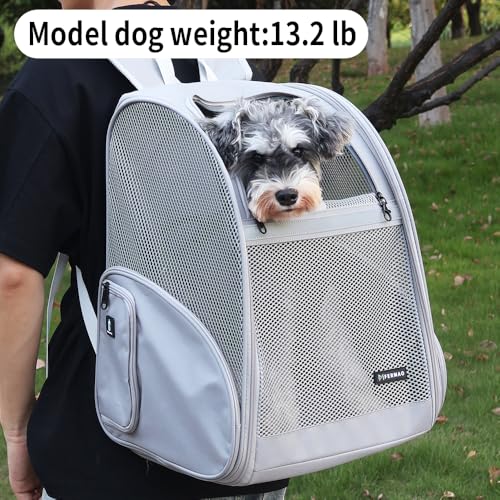 Pet Backpack Carrier (Gray / 13.7"L x 12.0"W x 18.0"H)