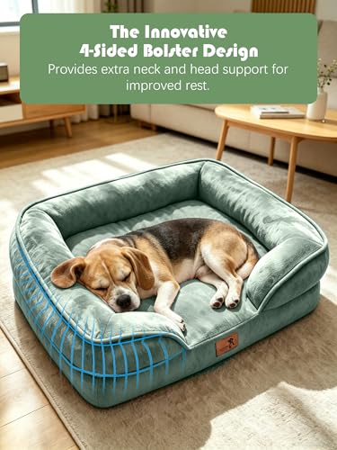 Orthopedic Dog Bed with Sides (28.0"L x 23.0"W x 6.5"Th / Green)