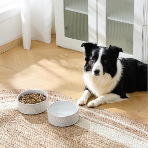 Ceramic Dog Food Bowl (Five-leaf Grass / 4 Cups)