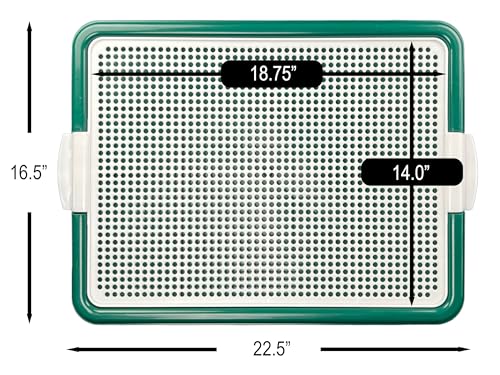 Dog Pee Pad Holder Tray (Green)