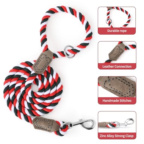 Rainbow Dog Leash Braided Cotton Rope w Leather (Red/Green / 48 Inch-1/2")