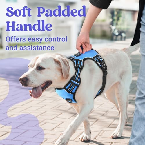 Large Dog Harness (Medium / Light Blue)