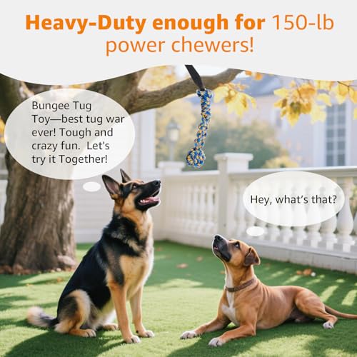 Outdoor Bungee Tug Toy (Blue)