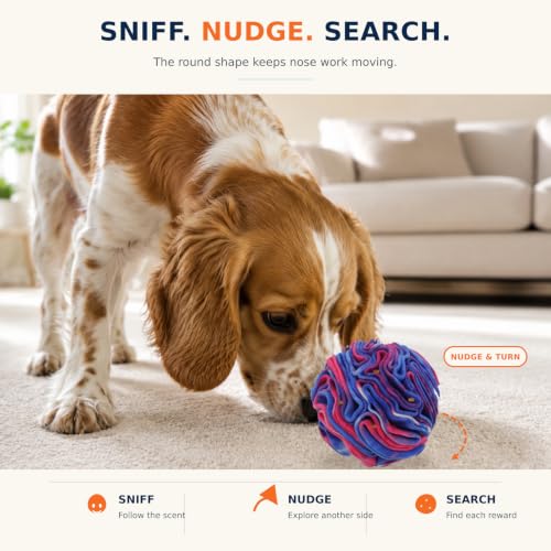 Snuffle Ball for Dogs (Violet)