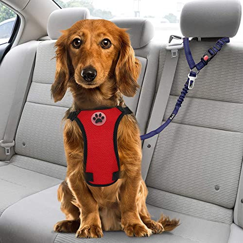 Dog Seat Belt for Car (F.Blue)