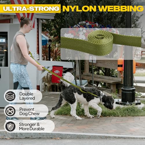 10 FT Heavy Duty Dog Leash (10 Feet (Pack of 1) / Green)