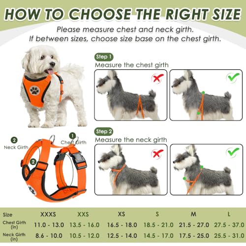 Dog Seat Belt and Harness for Car (Orange / Medium)