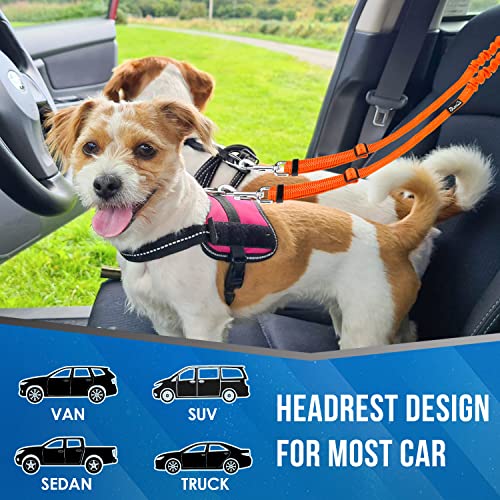 Double Dog Car Seat Belt (Orange)