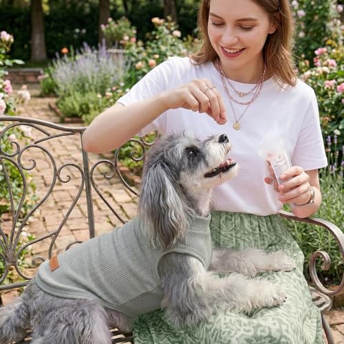 3Pack Dog Shirts Lightweight Waffle Dog Shirt for Small DogsSleeveless Dog Shirt for Small Medium Boy Girl Dogs Cozy & Breathable Pet Vest (M(Back: 13.8", Chest: 17.7", 8.8-13.2lbs) / Striped+Light Green+Bean Green)