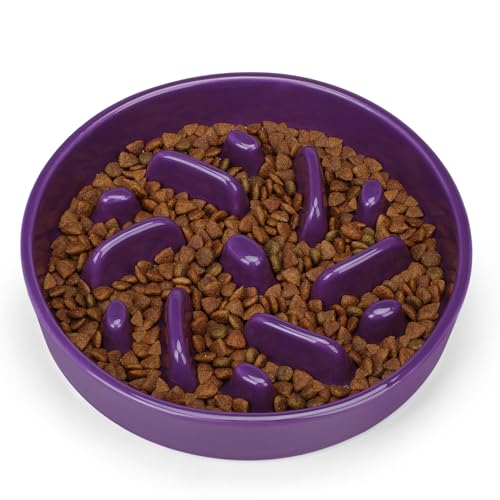 Ceramic Slow Feeder Dog Bowl (Maze - Deep purple / 2 Cups)