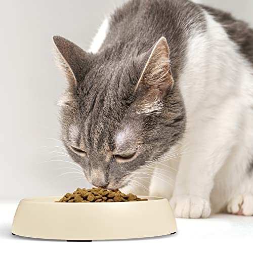 Cat Bowls Whisker Friendly Food Bowl for Indoor Cats (Dish - Set of Two / Sand)