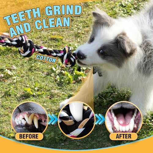 Dog Rope Toys for Small