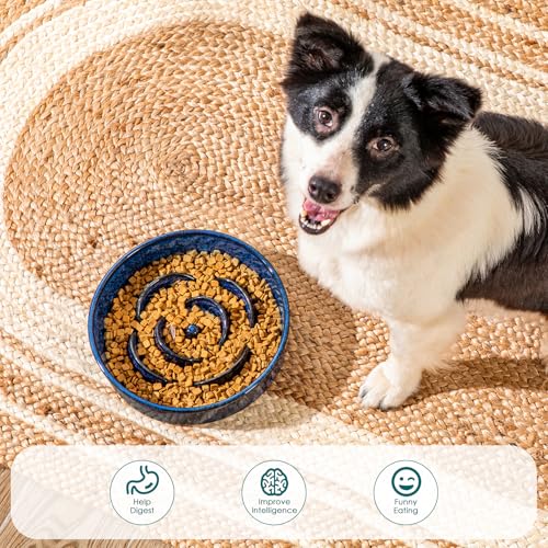 Slow Feeder Dog Bowl (L - 3 Cups / Blue)