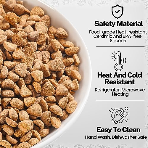 Cat Food Bowls (Shallow Dish | 6 PCS / Fishbone + Cat Paw)