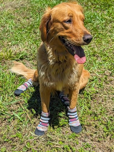 All Weather Neoprene Paw Protector Dog Boots with Reflective Straps in 5 Sizes! (Medium)