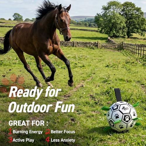 10 Inch Gaint Dog Soccer Ball with Straps (Black Green / 10 Inch)