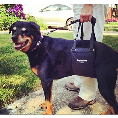 Dog Support Sling Rear Harness (Large - Female)