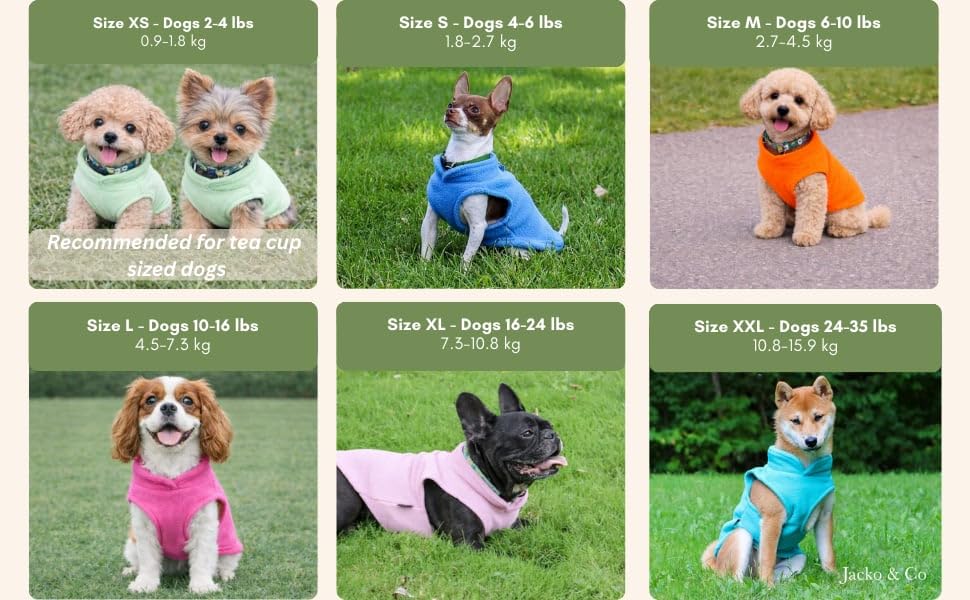 Dog Fleece Sweater with Leash Ring (M (6-10lbs) / Mint Green)