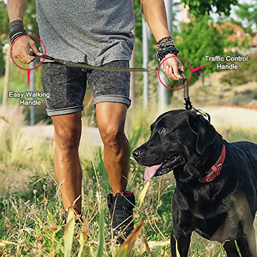 Tactical Shock Absorbing Bungee Dog Leash Heavy Duty (Ranger Green / Aviation aluminum)