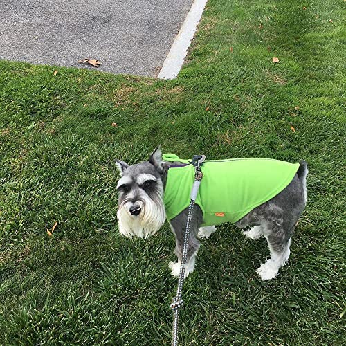 Zip Up Fleece Dog Sweater (Small chest (~13.5") / Lime)