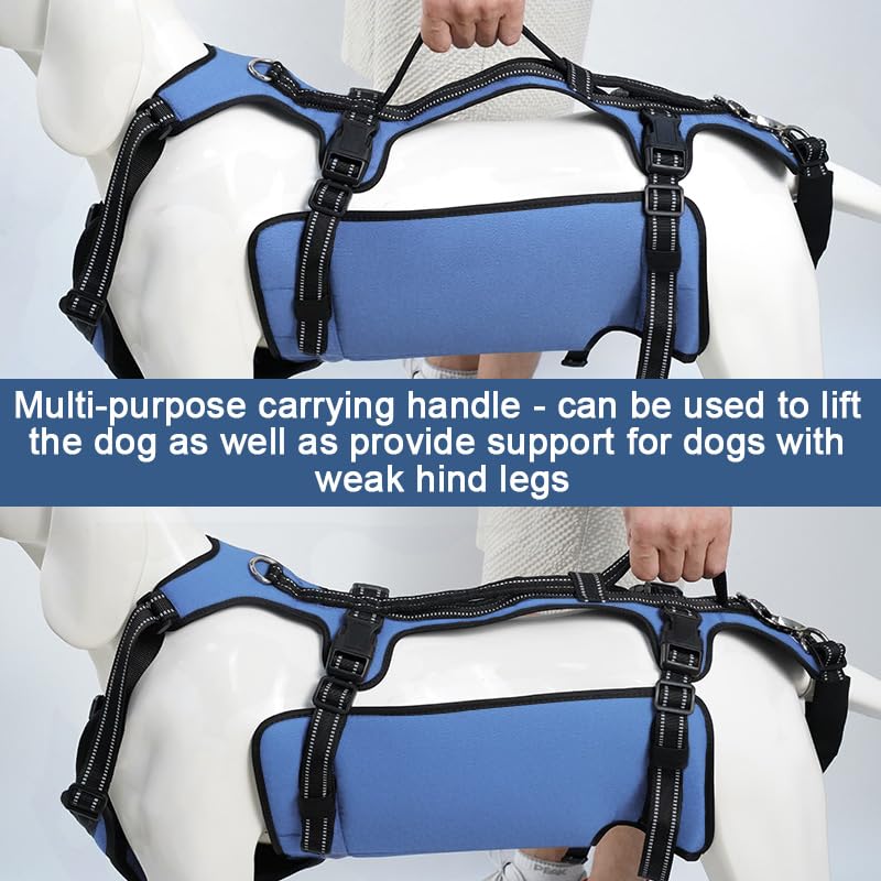 Dog Lift Harness (L / Blue)