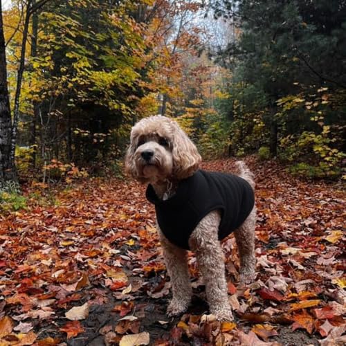 Dog Fleece Vest Sweater with Leash Ring (XL (17-25lbs) / Black)