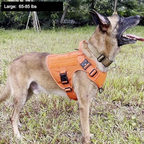 Tactical Dog Harness for Large Dogs (Large (Pack of 1) / Orange)