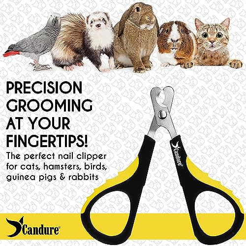 Cat Nail Clipper Stainless Steel Cat Claw Trimmers for Rabbits (Bright Yellow / Small pets)