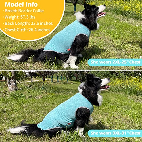 2Pack Dog Shirt for Medium Dogs Sun Protection Tank Top for Summer (XX-Large (40-55lbs) / 1# 2Pack (Grey+Blue))