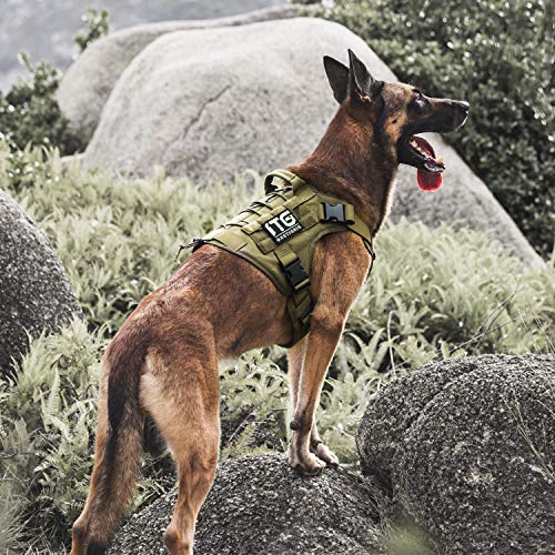 Tactical Dog Harness (Large / Green)