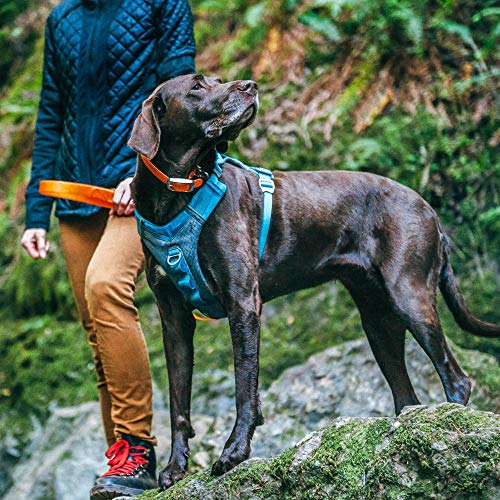 Journey Air Dog Harness (X-Large / Blue)