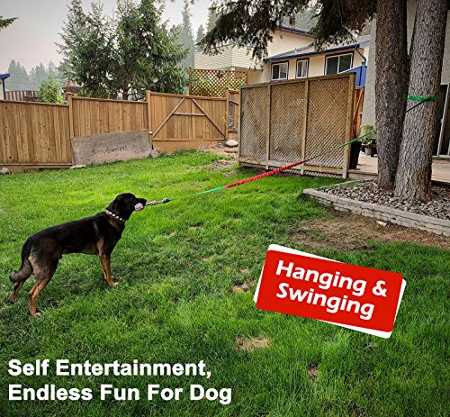 Outdoor Bungee Tug Toy (Red+Green)
