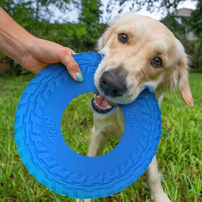 Tire Flyer Outdoor Dog Toy (Blue / 10 Inch)
