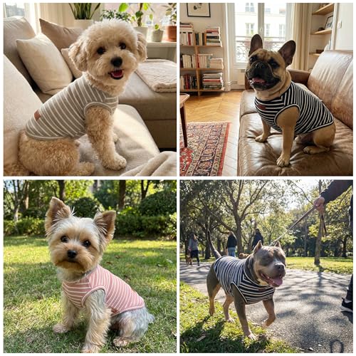 3Pack Dog Shirt Cotton Striped T (Sage Green + Blue Purple + Bright Green / 2XL(Back: 19.7", Chest: 25.6", 29.8-40.8lbs))