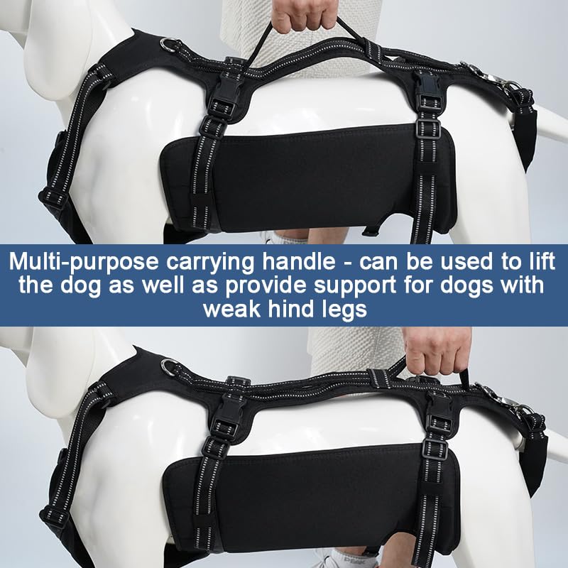 Dog Lift Harness (XL / Black)