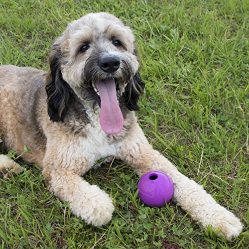 Fetch Balls Extremely Durable Natural Rubber Toy 4 inch (2-Pack (4" Balls))