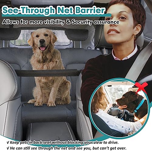 Dog Car Barrier Escape (Medium)