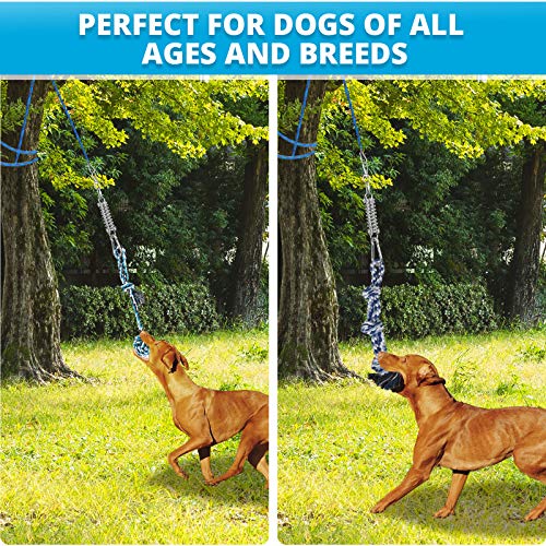 TRSMIMA Spring Pole Rope Toys (Blue)